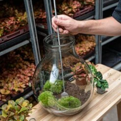 Terrarium Tool - Rake - 16-49 Cm - Telescopic - Stainless Steel 8 Terrarium Tool - Rake - 16-49 Cm - Telescopic - Stainless Steel -Plant Haven Home terrarium tool telescopic