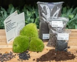 Terrarium Package – Refill & Starter Package – DIY Terrarium Kit – Size L/XL -Plant Haven Home terrarium trendhero flachengarten kit