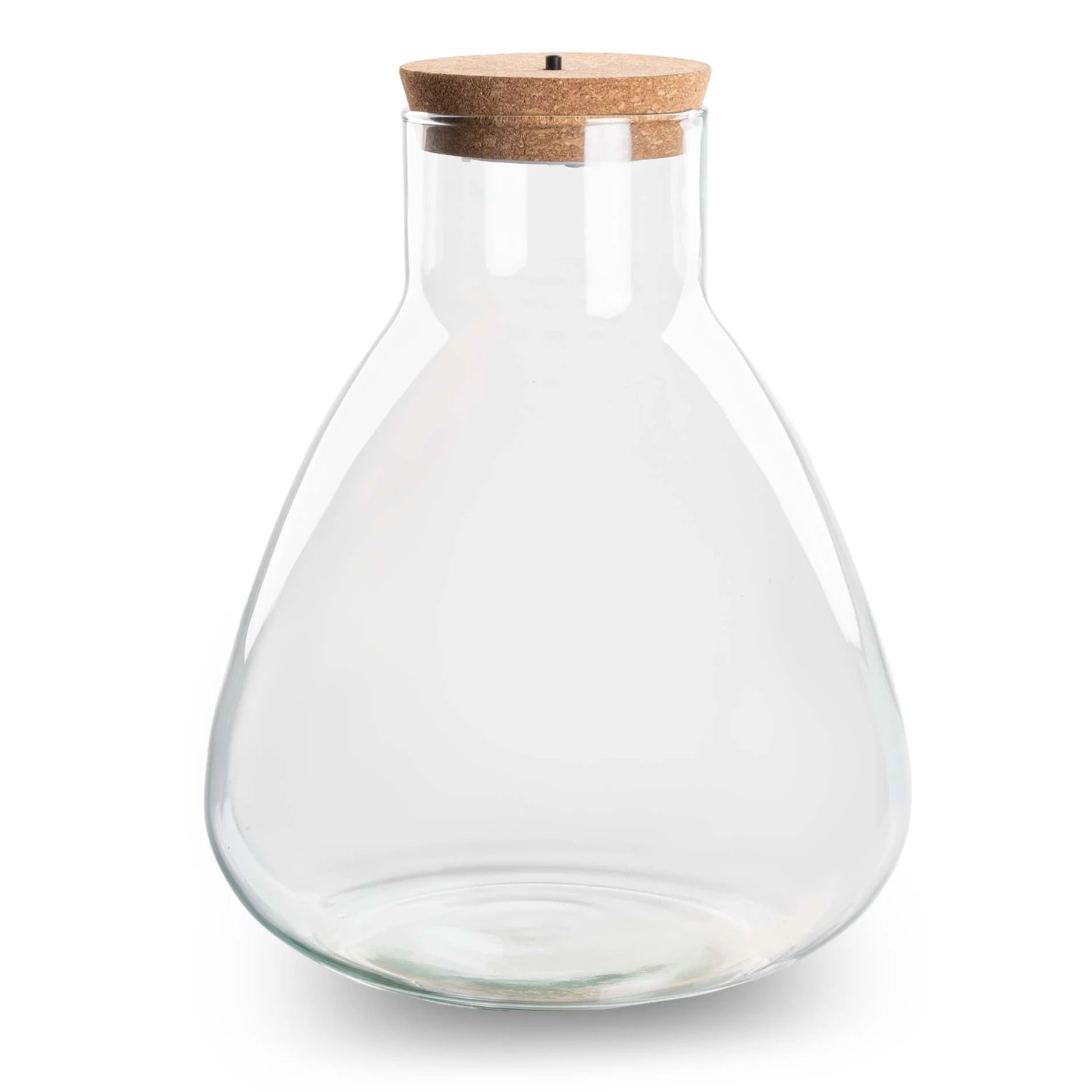 Terrarium Bottle 'Sam' - Incl. LED Cork - Closed Terrarium Ø 24.5 Cm ↑ 30 Cm 2 Terrarium Bottle 'Sam' - Incl. LED Cork - Closed Terrarium Ø 24.5 Cm ↑ 30 Cm - Image 2
