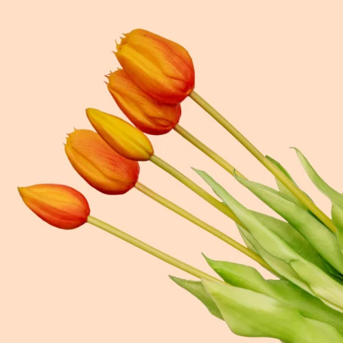Tulip Bouquet – 5 Pieces – Various Colours – ‘Real Touch’ Artificial Tulips – 42 Cm 9 Tulip Bouquet – 5 Pieces – Various Colours – ‘Real Touch’ Artificial Tulips – 42 Cm -Plant Haven Home tulpen boeket oranje 5 pcs web 97449bc9 5148 458a b966 cfd1717a1ec4