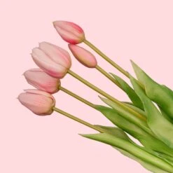 Tulip Bouquet – 10 Pieces – Mixed Colours – ‘Real Touch’ Artificial Tulips – 42 Cm (white/green) 17 Tulip Bouquet – 10 Pieces – Mixed Colours – ‘Real Touch’ Artificial Tulips – 42 Cm (white/green) -Plant Haven Home tulpen roze kunstRozeWeb1 c3a7c9a6 abc5 4e2f b95c 7eb59b9657a8