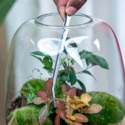 ESSCHERT DESIGN Extra Long Terrarium Tweezer - 26 Cm - Stainless Steel -Plant Haven Home tweezer terrarium long stainless steel flaschengarten 003