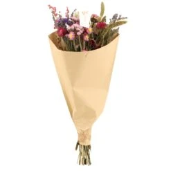 Dried Flowers - Surprise Bouquet - At The Value Of € 39,50 9 Dried Flowers - Surprise Bouquet - At The Value Of € 39,50 -Plant Haven Home unnamed 17bb917c f030 47cb ab23 400c56ee05d4