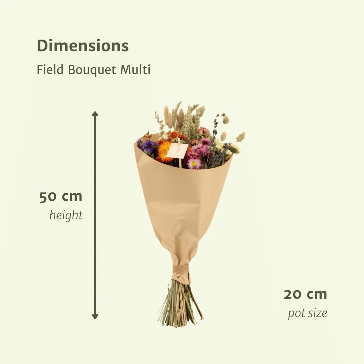 Dried Flowers - Field Bouquet Multi - Dried Bouquet - 50cm - Ø20 2 Dried Flowers - Field Bouquet Multi - Dried Bouquet - 50cm - Ø20 - Image 2