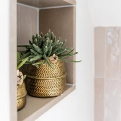 Groove Gold Plant Set | Set With White Phalaenopsis Orchid And Small & Large Succulent - Gold Ceramic Pots Included -Plant Haven Home unnamed 6a484283 2029 4b45 b2bf 90b94d9033ec