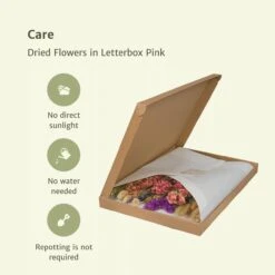 Dried Flowers In Letterbox Pink - Dried Bouquet - 35cm - Ø10 -Plant Haven Home unnamed 8fc1de49 1a9f 4282 be90 365a28773455