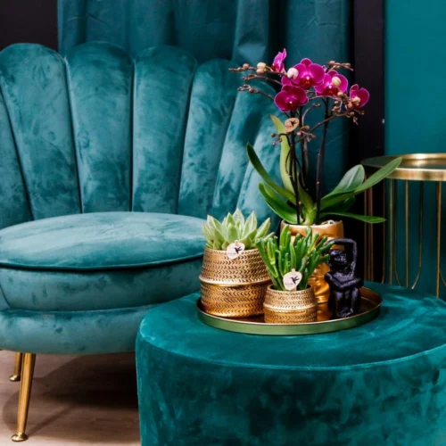 Chic Hotel Plant Set | Pairs Of Phalaenopsis Orchids And Succulents - Ceramic Pots Included -Plant Haven Home unnamed ede8ee90 9095 4680 a12f d127fe53cdaf